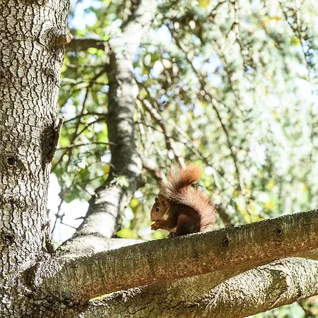 Prázdninový dům Casa Richello Parcent